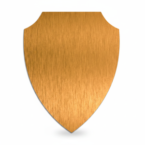Medaglia e Targa Trofeo Placcati in Oro per Sublimazione 211X162 mm - Product Image 2