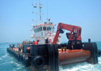 Grue à flèche pliante manuelle et télécommandée pour travaux maritimes sur plateformes marines multi-types