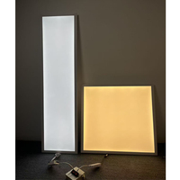 Panneau lumineux LED plat sur mesure UGR<19 anti-éblouissement et anti-explosion avec batterie de secours