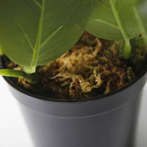 กระถางต้นไม้เทียมขนาดเล็ก15ซม. สำหรับตกแต่งห้องนั่งเล่นในร่ม - Product Image 4