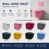 WC suspendu sans bride couleur mate, WC flottant en céramique avec abattant à fermeture douce, couleur personnalisée pour hôtel, villa, vente en gros OEM