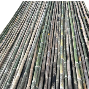 Tiges fines en bambou naturel, matières premières pour le soutien de la culture agricole - Product Image 5