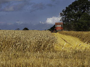 ביצועים גבוהים מכונת חווה 25hp rg25 מקצרה אורז מיני מקצרה אורז - Product Image 4