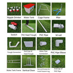 <span class=keywords><strong>Jaula</strong></span> para Gallinas Ponedoras con Cinta <span class=keywords><strong>Transportadora</strong></span>, Tipo H, Semiautomática, con Eliminación Manual de Estiércol, para Granjas Avícolas - Product Image 4