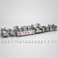 Ligne de production automatique de frites surgelées TCA, machine à fabriquer des chips de pommes de terre clé en main en SUS304 pour usine de snacks