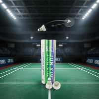 Ventes en gros direct d'usine, marque personnalisée prise en charge, volants de badminton en plumes d'oie avec vol stable pour l'entraînement au badminton