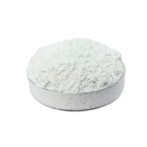 600 Mesh Carbonaat Vietnam Calcium Carbon Nano Food Grade Krijt Handel Industriële Dispersie Pj980 Voor Medicijnen