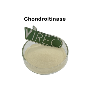 Enzyme de hydrolyse du cartilage, chondroïtinasase, pour l'extraction de glycosaminoglycane par hydrolyse, bioprocédé industriel - Product Image 1