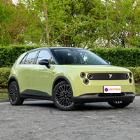 Nouvelle Voiture Électrique SUV Mini Gee-ly Firefly 2026, 5 Places pour Adultes, Véhicule Électrique