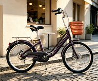 Prix d'usine – Vélo de ville 20/22 pouces en acier à haute teneur en carbone avec panier en plastique pour femme – En promotion