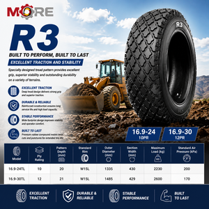 Neumático para Césped Sólido Nuevo 16.9-24TL 10PR R3 para Tractor, Cortadora de Césped, Campos de Golf, Parques y Operaciones de Paisajismo Municipal - Product Image 1