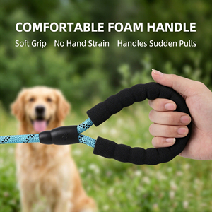 Guinzaglio per Cani in Nylon Riflettente di Lusso in Pronta Consegna Personalizzato per Cani di Taglia Media e Grande ad Alta Resistenza alla Trazione alla Moda Regolabile Tinta Unita - Product Image 4