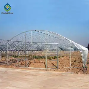 Serra a buon mercato complet sistemi di coltivazione automatica serra piccole serre per la vendita