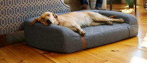 أسرة أريكة فاخرة للحيوانات الأليفة والقط وسادة مخصصة للكلب مقاوم للماء غطاء قابل للإزالة OEM ODM - Product Image 4