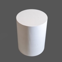 267*305 filtro antiparticolato Diesel ceramico a nido d'ape di alta qualità Cordierite DPF