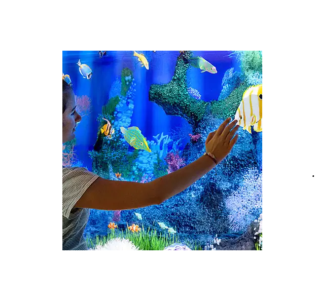 High Precision Large Screen Fun Easy Indoor Exciting 3d Interactive Projector 3d Floor Games for Kids