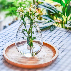 Terrarium <span class=keywords><strong>en</strong></span> <span class=keywords><strong>verre</strong></span> chinois <span class=keywords><strong>pas</strong></span> <span class=keywords><strong>cher</strong></span>, soufflé à la bouche, <span class=keywords><strong>en</strong></span> forme d'œuf, pour succulentes, à placer sur un bureau ou une table, écologique - Product Image 3