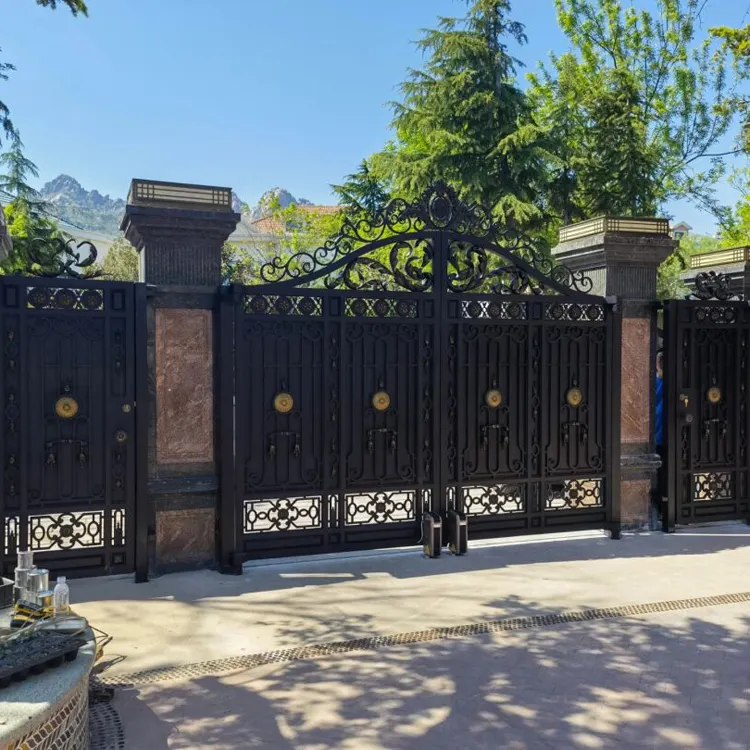 Odern Custom Hilla arden uuxury ririveway rrught ron Gate