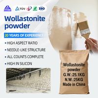 Poudre de Wollastonite Naturelle Haute Luminosité Blancheur 95% Faible Teneur en Métaux Lourds pour Applications Alimentaires