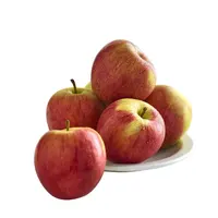 プレミアム品質の赤いおいしい新鮮なリンゴ