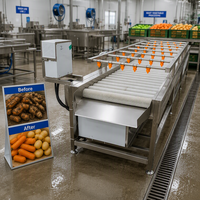 Machine à laver les brosses avec une capacité de 600-800 kg/h pour le nettoyage des légumes-racines dans les usines de transformation alimentaire
