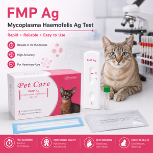 Kit de Prueba Rápida de Antígeno de Mycoplasma Haemofelis FMP Ag <span class=keywords><strong>para</strong></span> Detección de Salud Sanguínea Felina y Uso en Clínicas Veterinarias - Product Image 1