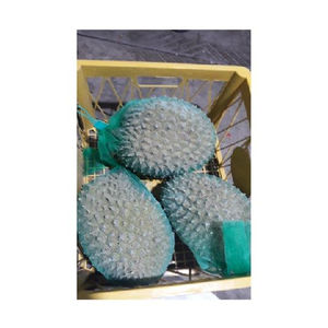 Congelados DURIAN precio - Product Image 1