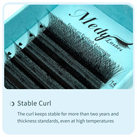 Extensions de cils Medylashes avec logo personnalisé, volume 0.05 0.07 Yy W V Shape, extensions de cils 3D 4D 5D 6D 7D 8D 9D Weave Yy
