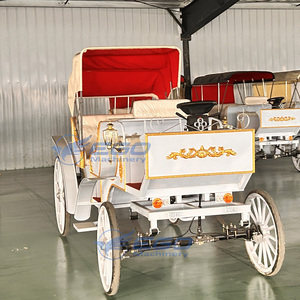 Carrosses de Mariage Électriques Spéciaux pour Visites Touristiques, Prix Usine, Transport de Luxe, à Vendre - Product Image 3