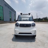 Voiture électrique miniature personnalisée à faible vitesse pour la famille, écran LCD 9 pouces, moteur 50-100 kW, batterie 90-110 kWh, charge utile 300 kg