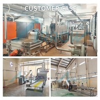 Machine à extruder les miettes de pain pour la production de Panko avec matrice personnalisée et contrôle automatique