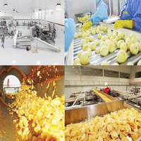 Ligne de production de chips de pommes de terre entièrement automatique 100-5000kg/heure