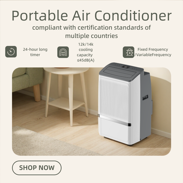 Inverter Type Portable Indoor 12000 BTU Air Conditioner with Cooling/Heating Moisture Removal Solution Electric Remote Control