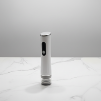 Machine de mise sous vide pour l'emballage alimentaire, batterie rechargeable, portable, pour un usage quotidien, cuisine, maison, câble de charge USB-C