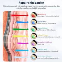 Appareil de soin du visage à oxygène rechargeable pour la maison, nouveau design, rajeunissement de la peau, éliminateur de rides, oxygénation à bulles de CO2, appareil portable
