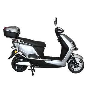 Produttore professionale 800W 1200W Smart Dual Drive Sport Scooter elettrico a due ruote