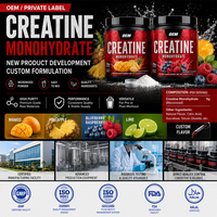 Créatine monohydrate micronisée en poudre OEM ODM Marque privée Saveur personnalisée Mangue Ananas Citron Vert Halal Usine GMP Vente en gros en vrac