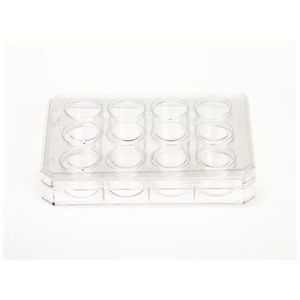 Placa Multivía de Plástico Tratado para Cultivo Celular de 12 Pocillos Nunc, Consumibles Experimentales Dedicados para Cultivo de Tejidos 0.10 (Cat. No. - Product Image 5