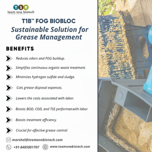 Trampa de Grasa para Restaurantes, Bloque Biológico de Material Plástico para un Rendimiento Eficiente en el Tratamiento de Aguas Residuales - Product Image 1