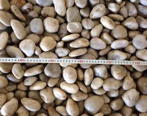 Nanjing Natural Color Landscaping River Pebble Stone Decorative Cobble Stone