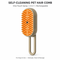 Brosse de toilettage pour animaux de compagnie en silicone auto-nettoyante, peigne pour poils de chien et de chat, vaporisateur de vapeur, massage, rechargeable, moderne, pour intérieur