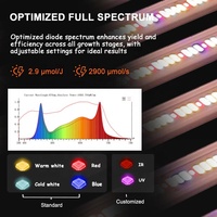 US Warehouse Grow Light 1000W Full Spectrum Haute Efficacité 2.9 Samsung 10Bar 5120pcs LED Plant Grow Lights Expédié des États-Unis