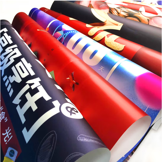 Custom Designed Indoor Wall Poster Printed