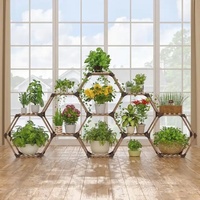 Support de Plantes Hexagonal en Bois d'Eucalyptus Écologique pour Intérieur avec Trous de Drainage, Auto-Arrosage, Créatif et Réglable pour la Maison