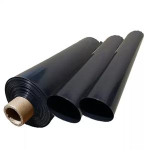 1.2mm HDPE géomembrane anti-infiltration revêtements chimiques barrage pisciculture étang agricole tunnel de résidus route résistant décharge - Product Image 2