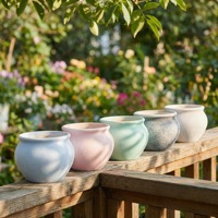 Pots en céramique pour plantes succulentes, pots à fleurs pour décorations de jardin, intérieur/extérieur, prix de gros, design