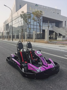 <span class=keywords><strong>Kart</strong></span> de course pour adultes à 2 places, 200cc/270cc, <span class=keywords><strong>prix</strong></span> bas, dernier modèle, prêt à l'emploi, pour la location - Product Image 3