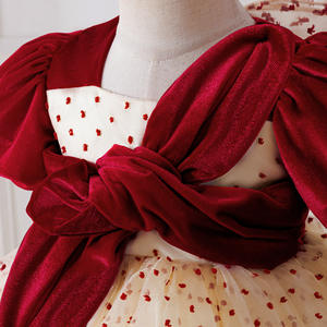 Nouvelle Robe de Princesse pour Bébé avec Voile en Tulle à Pois pour Fille, Idéale pour les Soirées d'<span class=keywords><strong>Anniversaire</strong></span> de 1 An et les Cérémonies, Robe Lavée pour Petites Filles - Product Image 4