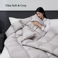 Couette en duvet d'oie 95% extra épaisse, hypoallergénique, douce, anti-évasion de duvet, 700+ FP, pour hôtel et maison, hiver, sur mesure, vente en gros, OEM, ODM