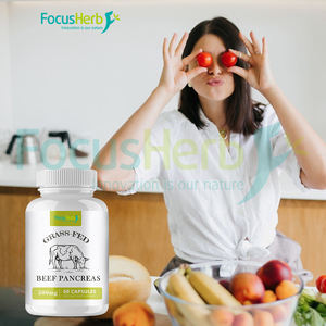 FocusHerb Livraison rapide 100% Vache nourrie à l'herbe OX Bovine 500MG Capsules de pancréas de boeuf - Product Image 4